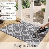 SHACOS Dirt Trapper Door Mat 80x120 cm Non-Slip Indoor Outdoor Grey view 7