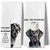 DAYOUER Funny Black Labrador Retriever Bathroom Hand Towels, Black Lab Gifts, Dog Lover Mom Gifts Decorative Hand Tea Towels for Bath Room Washroom Restroom Toilet, 16x24 Inches Set of 2