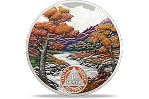 IMASONER 10 Month Sobriety Coin, Autumn AA Chip Medallion with Serenity Prayer, Recovery Gift Token for Anniversary, AA NA Sober Coin for Men & Women, 10 Month Sobriety Medallion