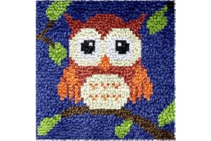 Numptain Latch Hook Kits for Kids,DIY Rug Crafts Owl Pattern Color Printed Canvas,Latch Hook Kits for Beginners Handmade Needlework Crafts Home Decoration,12"x12"