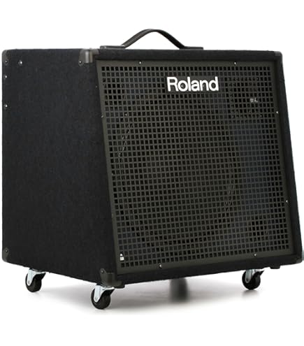 Amazon.com: Roland KC-220 Battery-Powered Stereo Keyboard