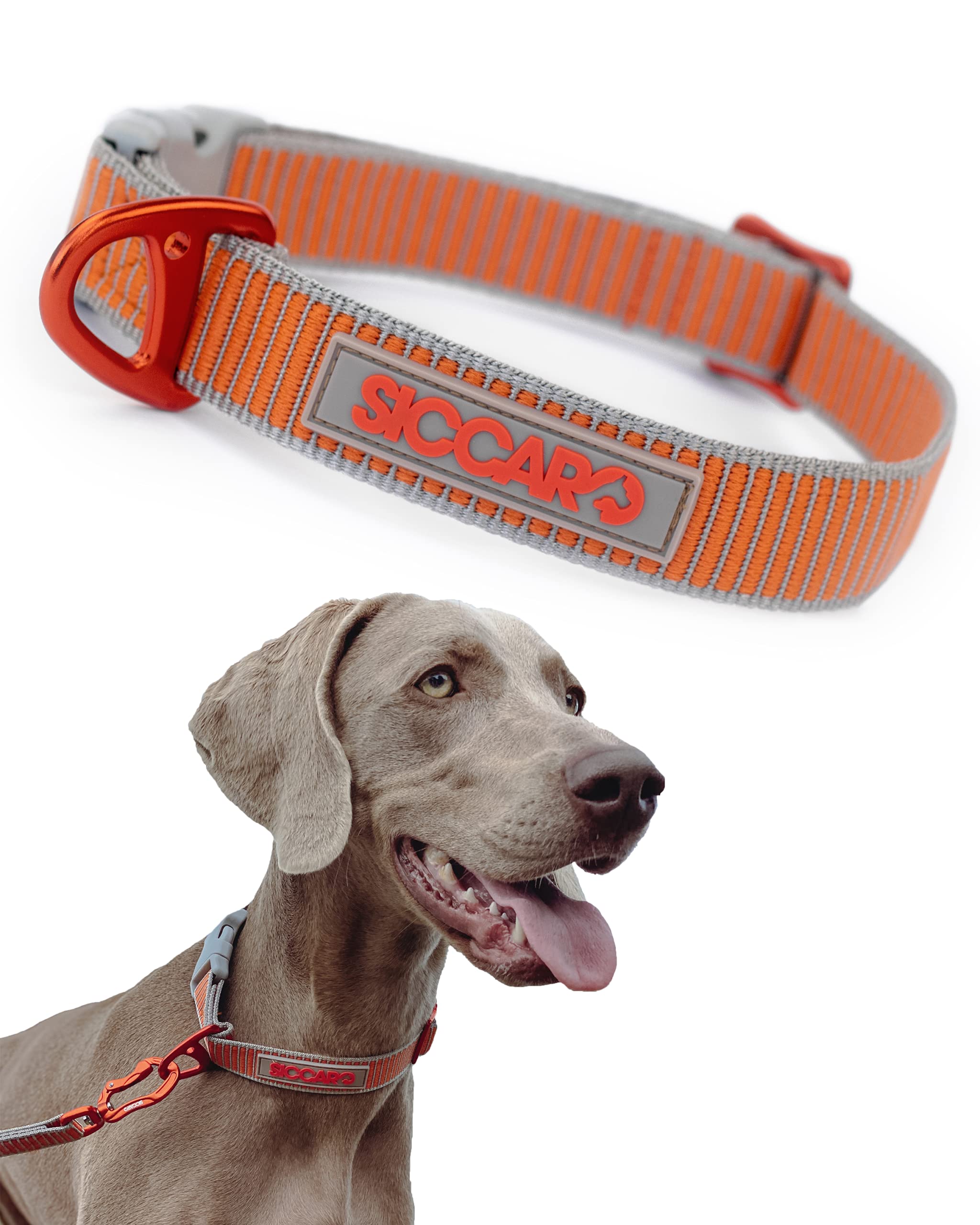 Siccaro - Sealines Dog Collar Mixed S - (S6011)