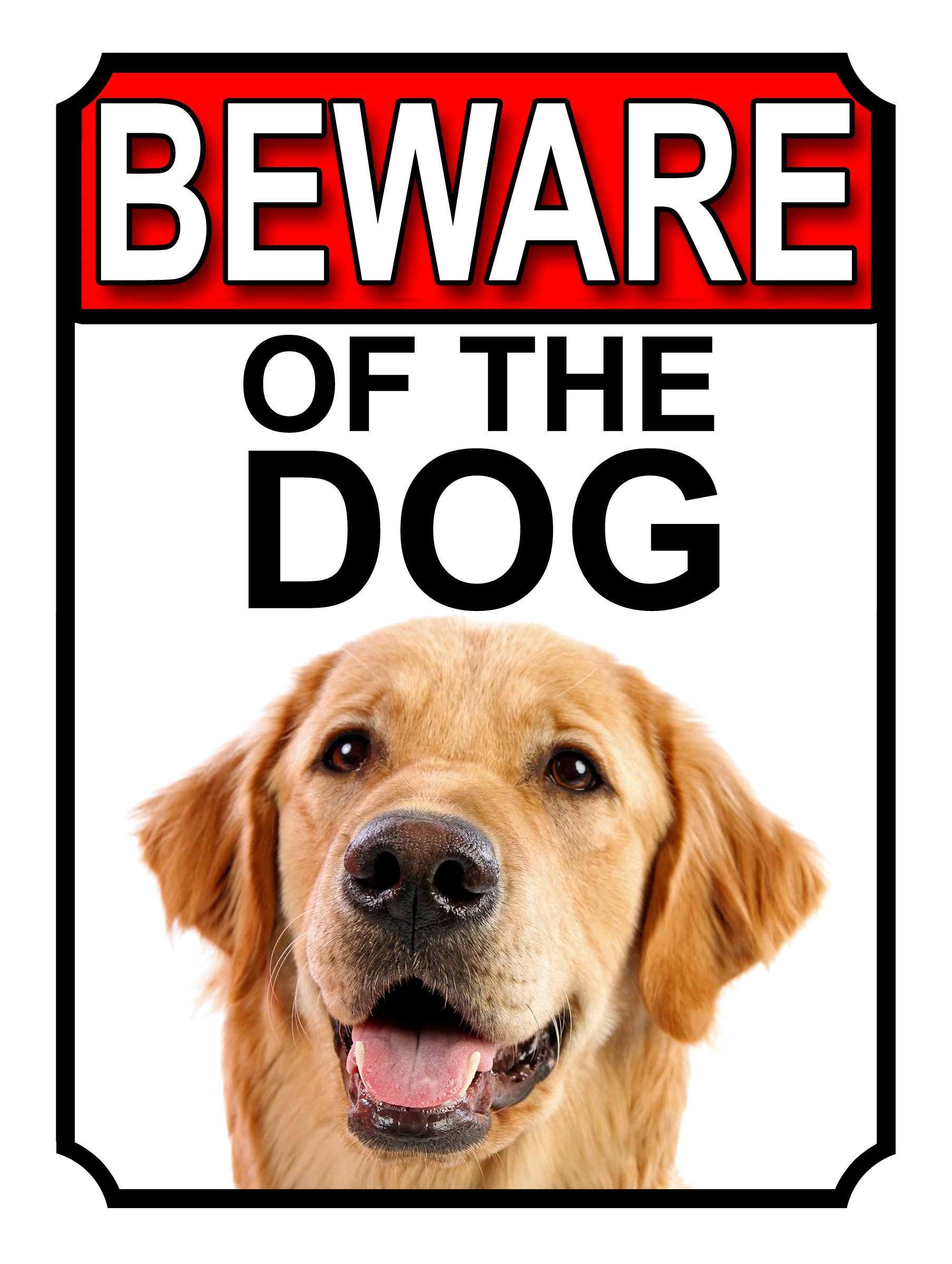 Shawprint Limited BEWARE OF THE DOG METAL GATE SIGN GOLDEN RETRIEVER 200MM X 150MM (1135H1)