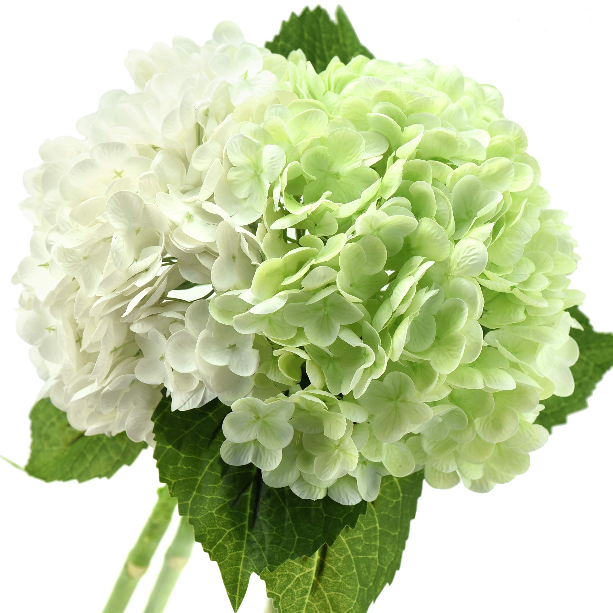 FiveSeasonStuff Real Touch Silk White Pale Green Mix Hydrangea Flowers, 2 Large Long Stems Artificial Flowers for Floral Decoration Arrangements