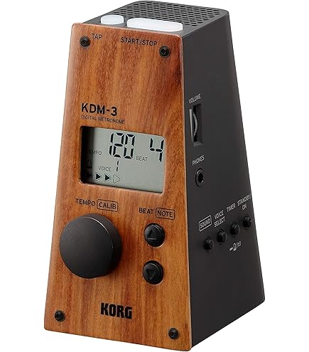 Focus Gold 教師用　Keirinkan DB System Bendix King KN-63 DME Transceiver P/N 066-1070-01 14/28 VDC