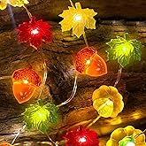 TURNMEON Fall Decor 30LED/10Ft 3D Pumpkin Lights Thanksgiving Fall Decorations for Home, 3 in 1 Battery Powered Fall Lights Pumpkin Decor, Fall Garland Autumn Indoor Outdoor Christmas Halloween Decor