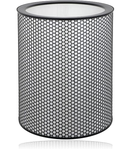 Amazon.com: 972132-01 H13 Grade Glass Big HEPA Filter Compatible