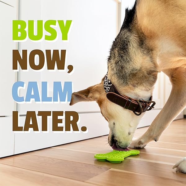 PET NATURALS BUSYBUTTER EASY SQUEEZE CALMING PEANUT BUTTER FOR DOGS 6OZ POUCH