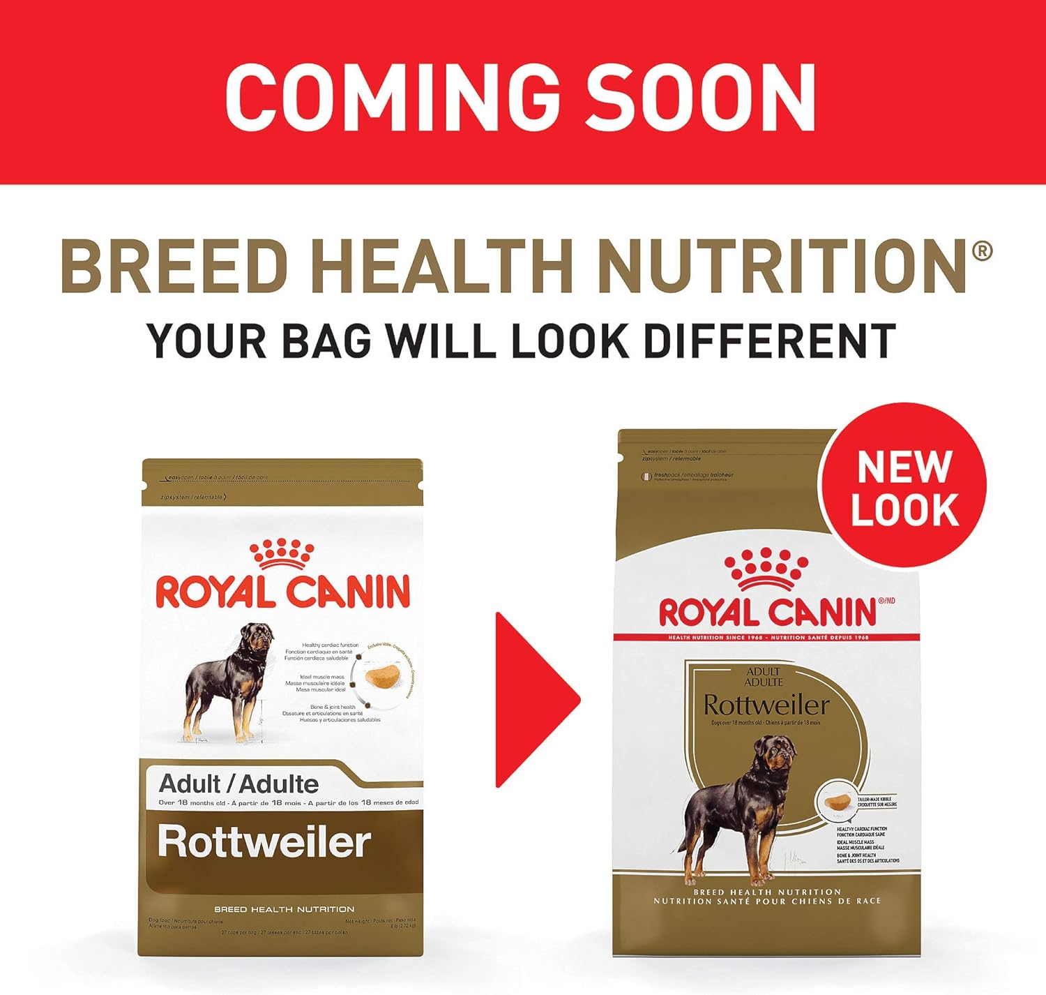 royal canin rottweiler dog food