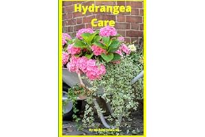 Hydrangea Care: How To Care For Hydrangeas For Beginners - Easy Home Gardening