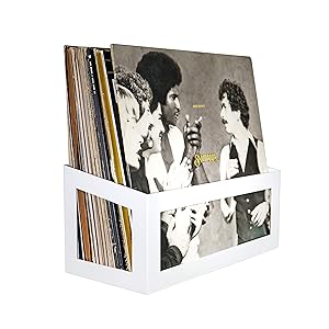 Hudson Hi-Fi Wall Mount Vinyl Record Storage 25-Album Display Holder | White Pearl | One Pack