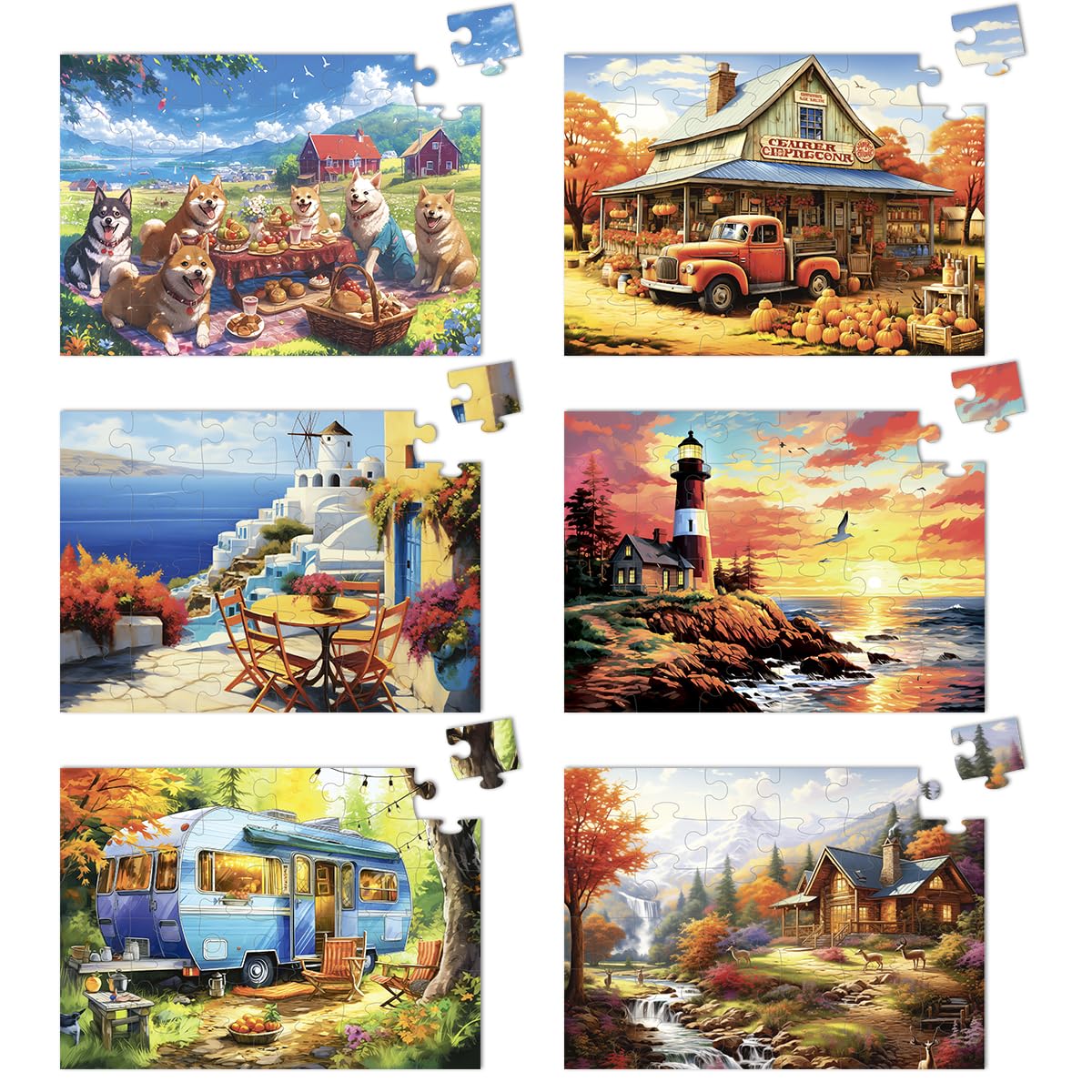 Yigney 6 Pack 36 Large Piece Jigsaw Puzzles for Seniors Alzheimer Product for Elderly Dementia Activities Memory Game for Patients in Nursing Home with Storage Box