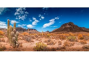 BannersNStands Reptile Habitat, Terrarium Background, Blue Sky with Mountains & Cactus - (Various Sizes) (18.25" H x 36" W)