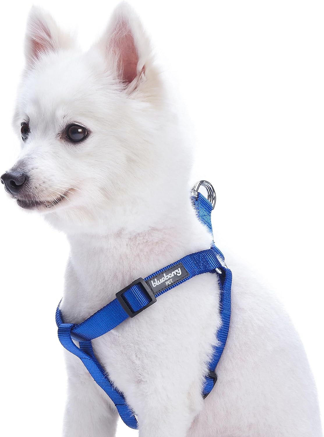 Blueberry Pet New Stepin Classic Dog Harness, Chest Girth 42cm54cm