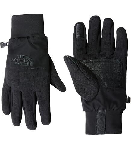 Amazon.com: The North Face Men's Apex Insulated Etip Glove, Stone