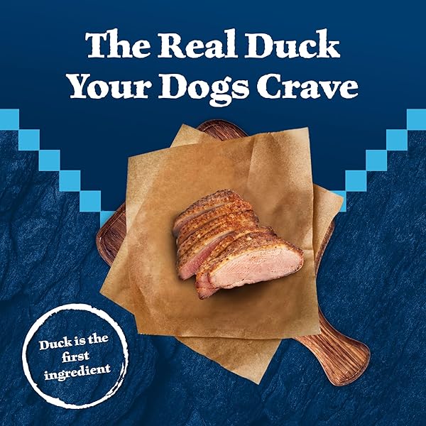 BLUE BUFFALO WILDERNESS TRAIL TREATS HIGH PROTEIN GRAIN FREE DOG BISCUITS CRUNCHY DOG TREATS, DUCK RECIPE, 24-OZ BAG