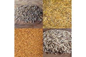 BINESHII WILD RICE SAMPLER GIFT BOX. 1/2 POUND EACH GOURMET, CHEF'S RESERVE, CHEF'S SOUP, PILAF BLEND, AND OUR WORLD FAMOUS GHOST WILD RICE.