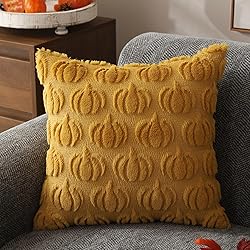 DFXSZ Fall Pillow Covers 16x16 Set of 2 Fall
