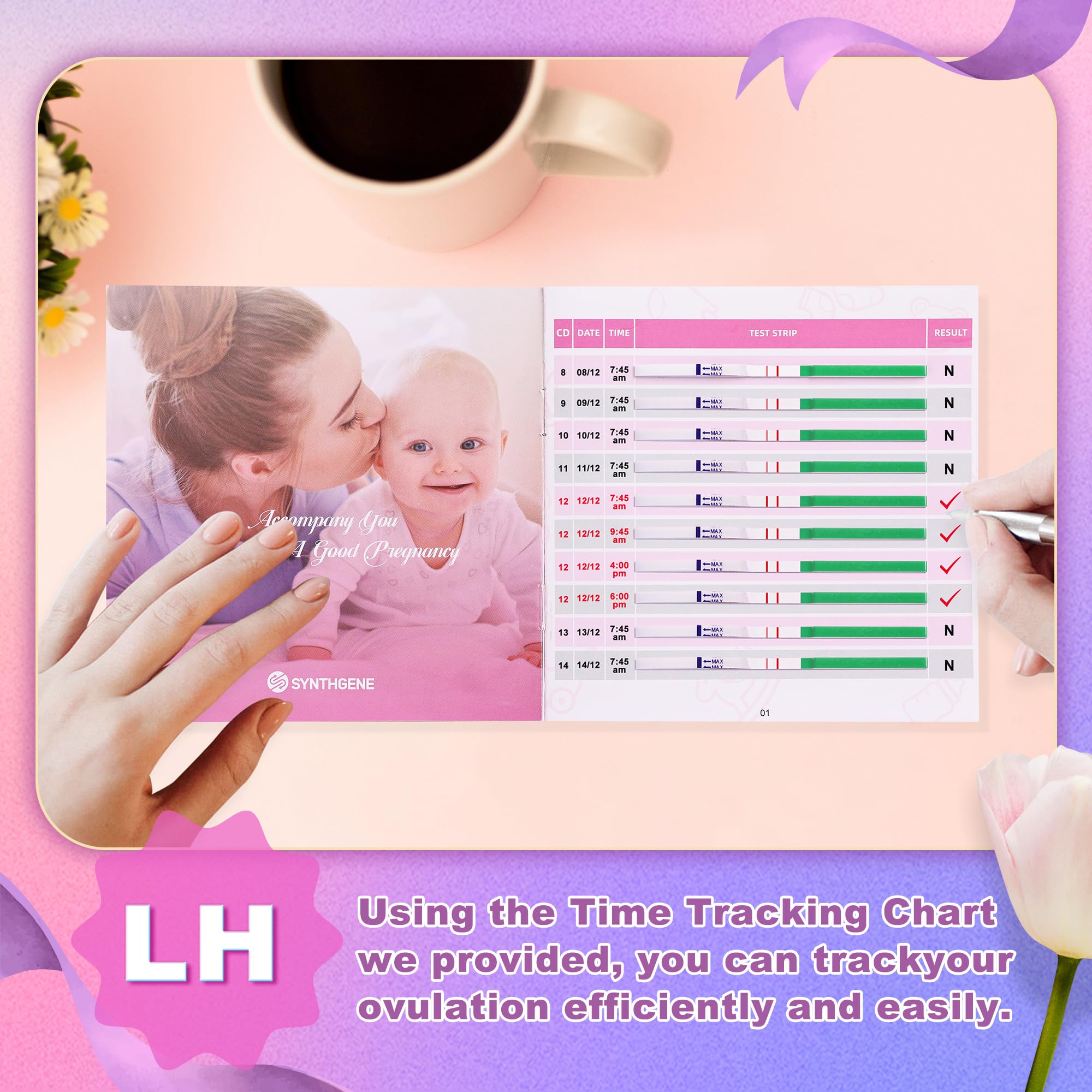 SYNTHGENE Ovulation Test Strips, LH 25 HCG 10 Ovulation and Pregnancy Tests, 25 Ovulation Tests and 10 Pregnancy Tests with 35 Urine Cups, Detect Early Pregnancy and Accurately Track Ovulation