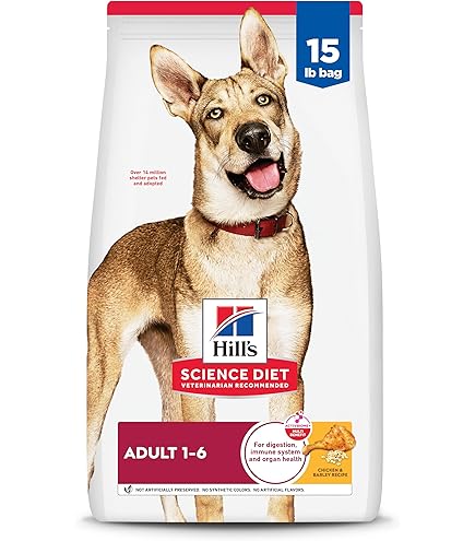 Amazon.com: Hill's Science Diet Adult 1-6 Dry Dog Food, Salmon