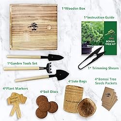Bonsai Tree Kit for Beginners, DIY Growing Kits