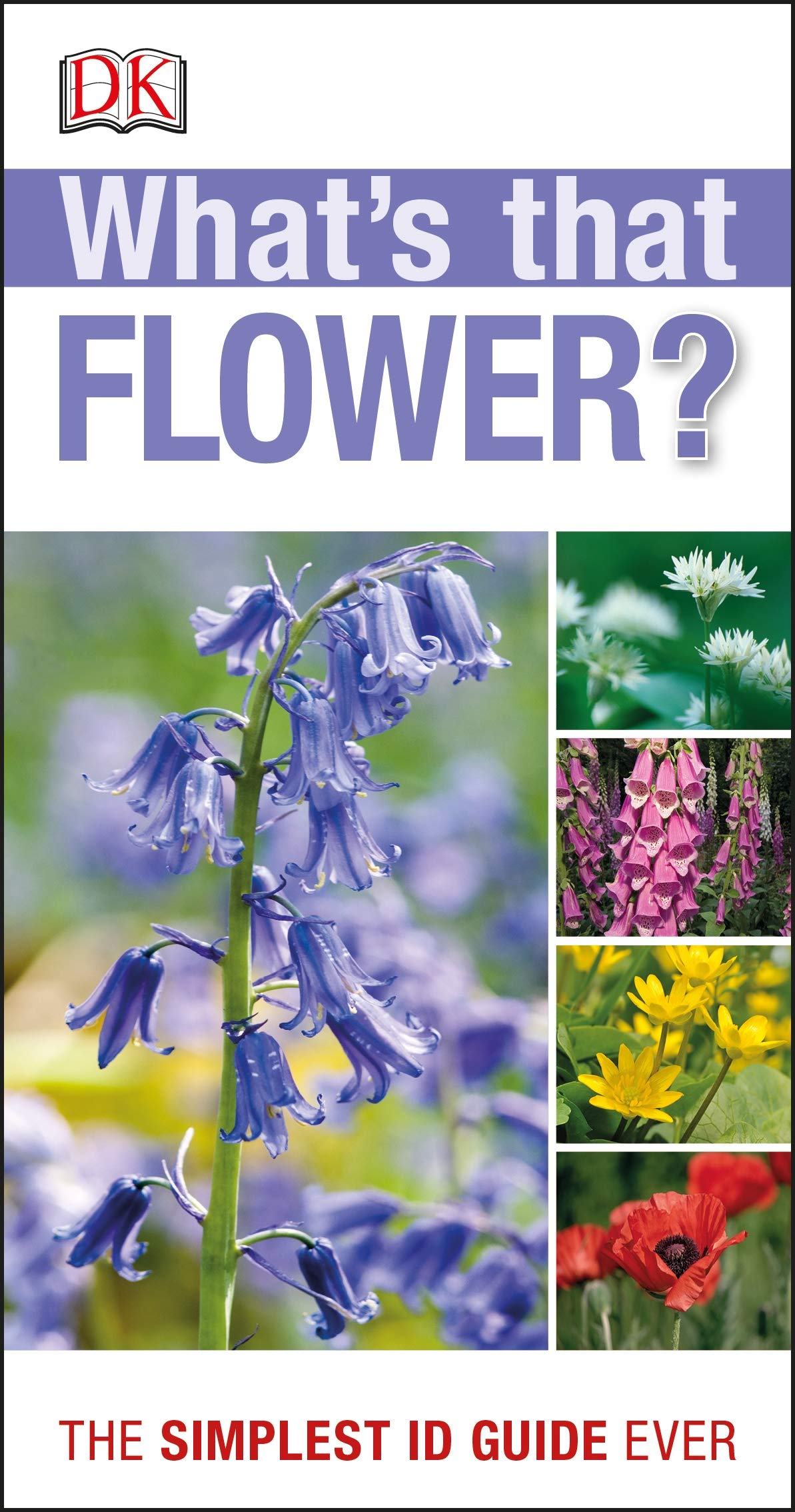 Best Wildflower Identification App Uk Best Flower Site