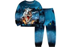 ADIFUN Boys Clothes T-Rex Dinosaur Clothes for Boys Round Neck Hoodedless Sweatshirt + Pants with Pockets Fall Winter Outfits