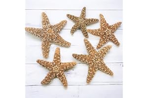 Tumbler Home Real Starfish Décor - 5pcs - 4" - 6" Large Starfish for Crafts, Beach House Décor, Aquarium & Fish Tank Decorations, Chirstmas Ornaments & Nautical Decorations