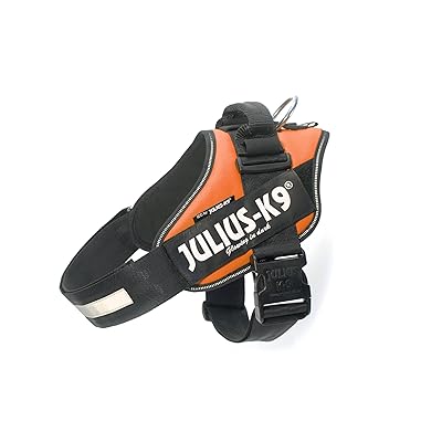 Julius-K9 IDC Powerharness: Ultimate Dog Harness for Hong Kong Ubuy