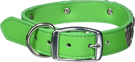 omnipet collars