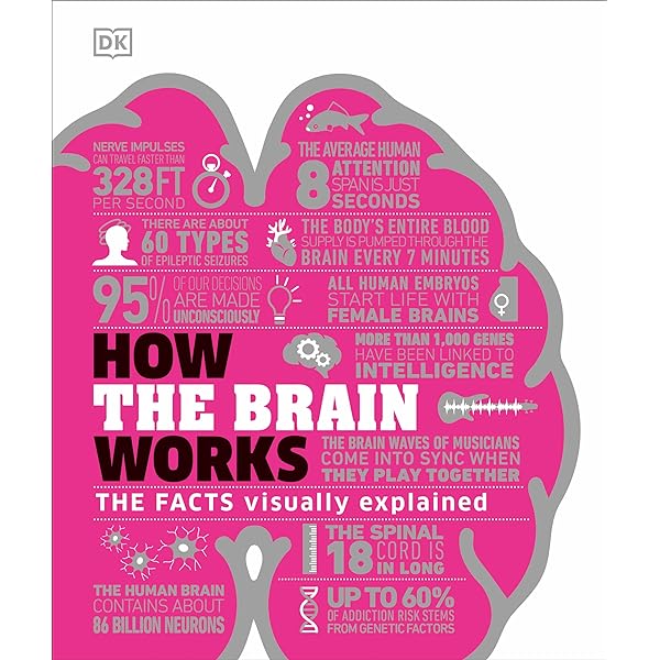Amazon.com: Neuroscience For Dummies eBook : Amthor, Frank: Kindle
