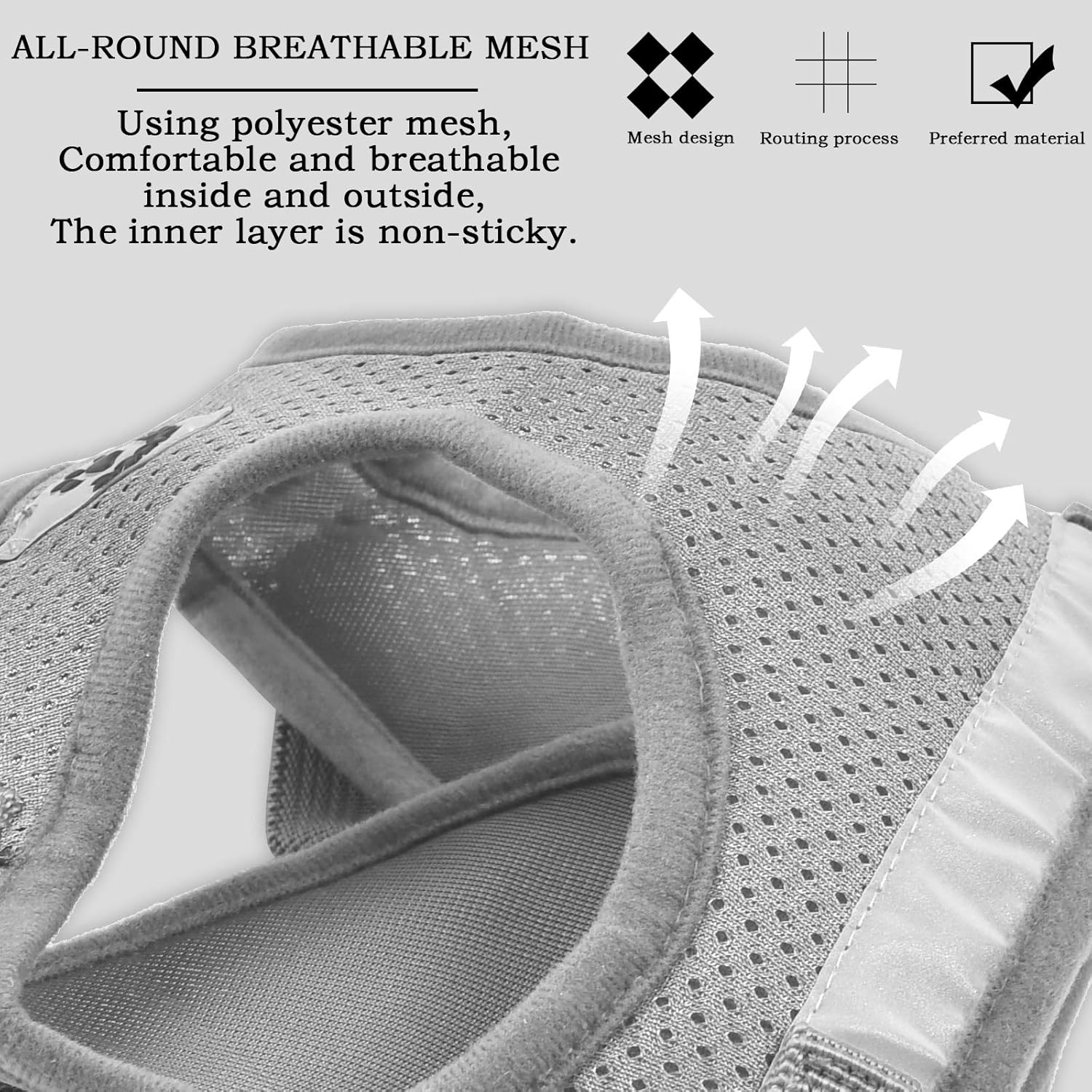 BUYGOO Adjustable Dog Harness and Lead for Small Dogs, Soft Puppy