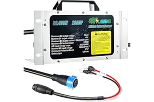 YILEIDE 58.4V20A Golf Cart Lithium Battery Charger On-Board with OT (M8: 14-8 terminals) for 16 Strings LiFePO4