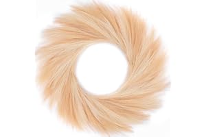 Rowfad Faux Pampas Grass Wreath, 26'' for Front Door, Boho Farmhouse Decor, DIY Fall Autumn Wreath (Beige and Brown)