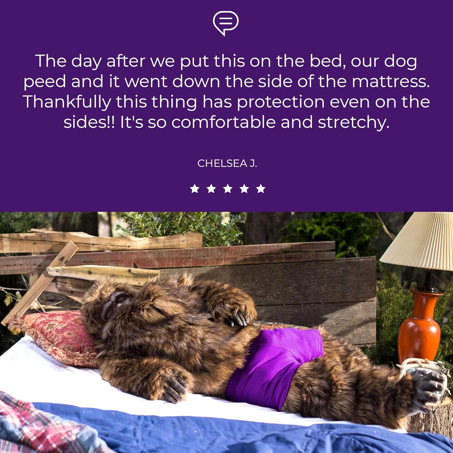 Purple The Mattress Protector (Full XL): Home & Kitchen