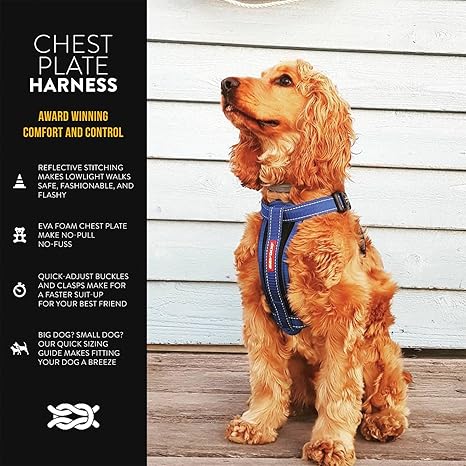 chest plate dog harness