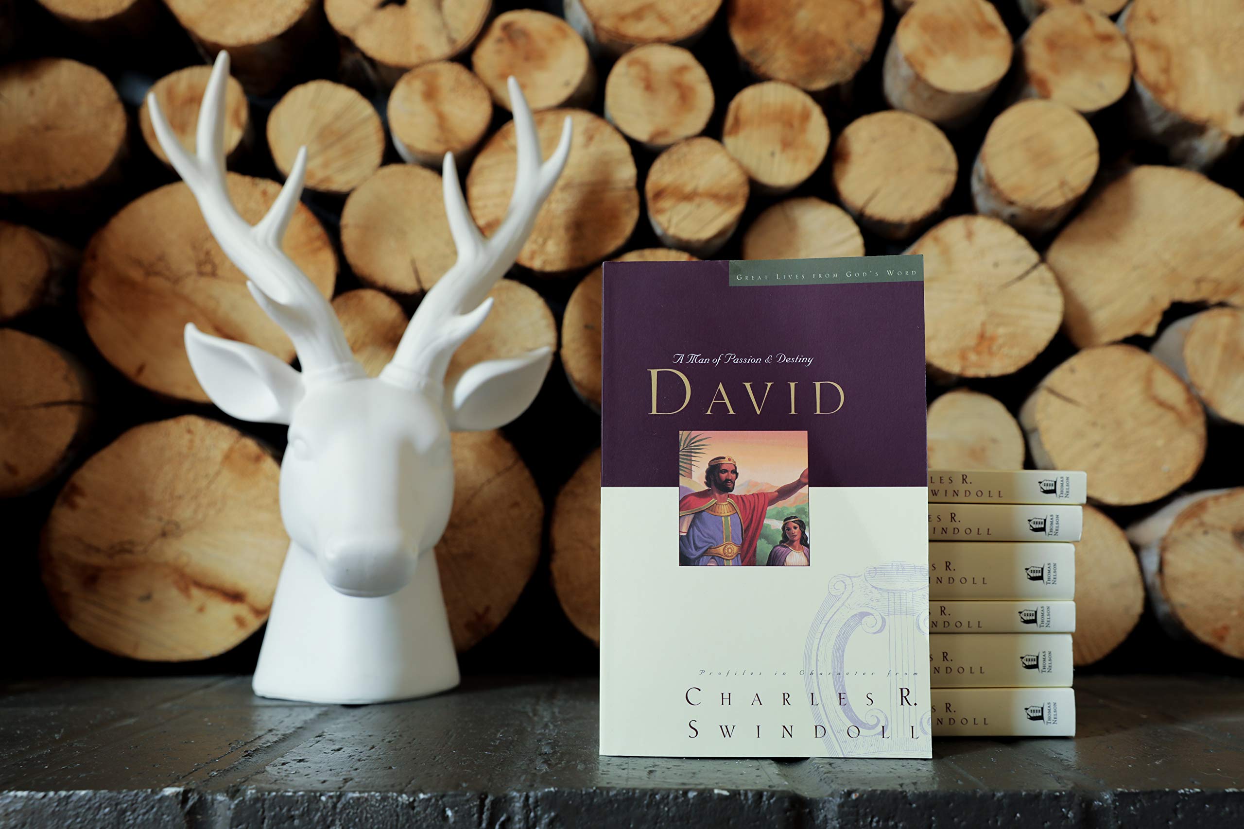 Great Lives: David: A Man of Passion and Destiny (Discover More About the Real King David of the Bible. The Perfect Gift for Fans of House of David) (Great Lives from God's Word)