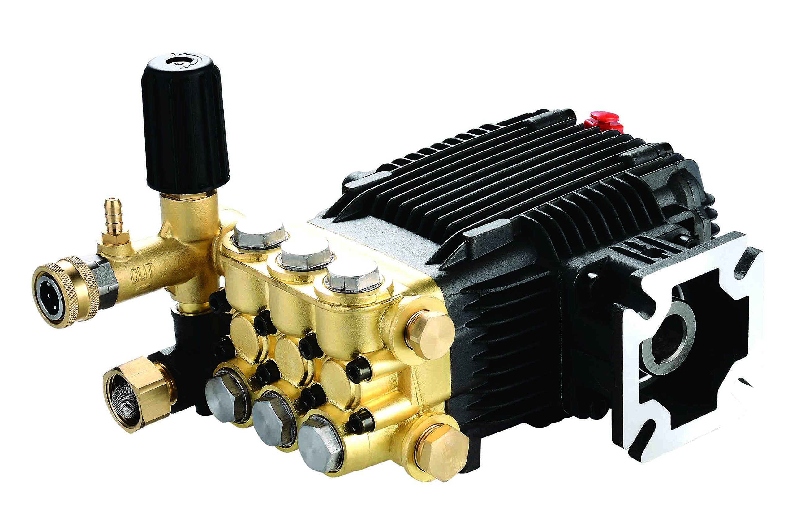 Danau Triplex High Pressure Power Washer Pump 3.3 GPM 3000 psi 6.5 HP 3