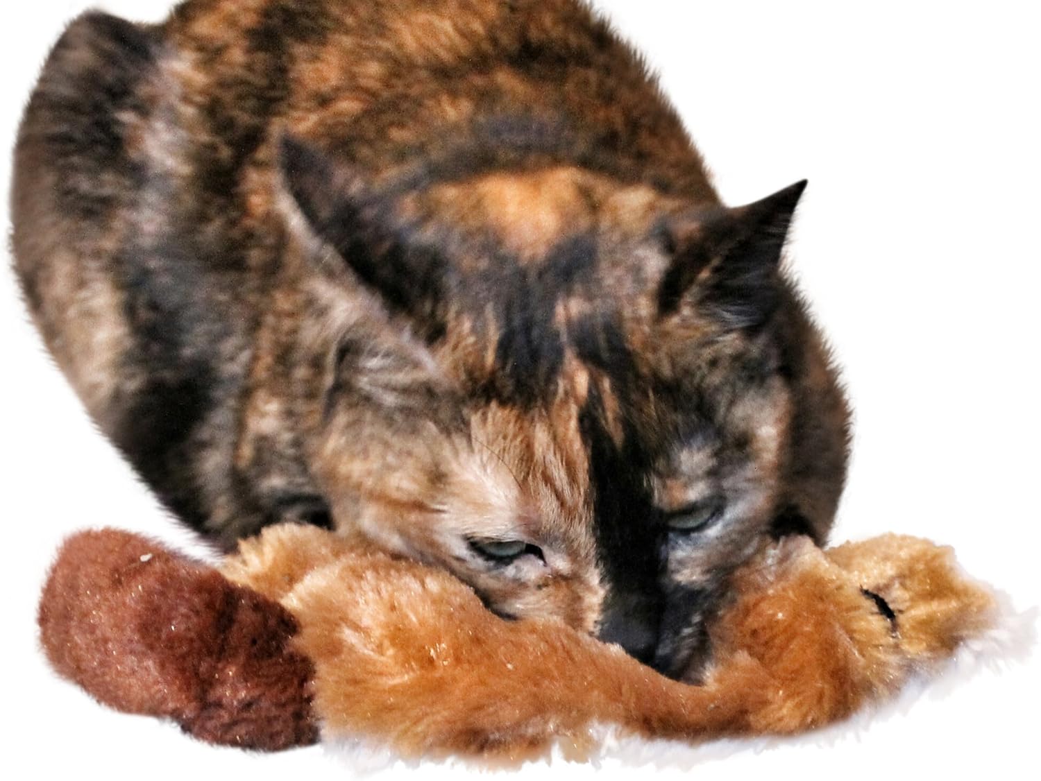 Refillable Catnip Cat Toy with Crinkle Sound and Pouch To Insert More Catnip, Set of 2 : Pet Supplies