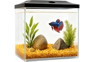 SW PRODUCTS 0.8-Gallon Cube Fish Bowl, Shatterproof Plastic Fish Bowl with LED Lighting, Temporary Fish Tank for Isolation, Decoration & Education