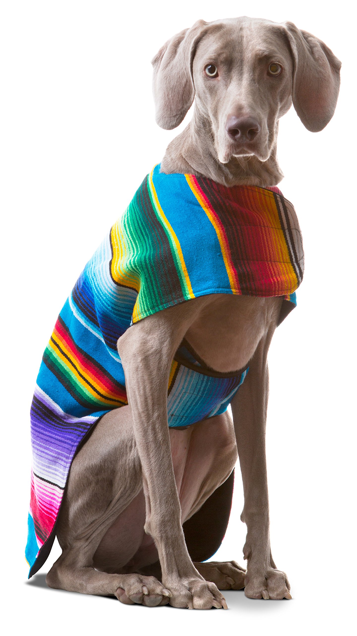 Dog Clothes - Handmade Dog Poncho from Authentic Mexican Blanket by Baja Ponchos (Blue, X-Large)