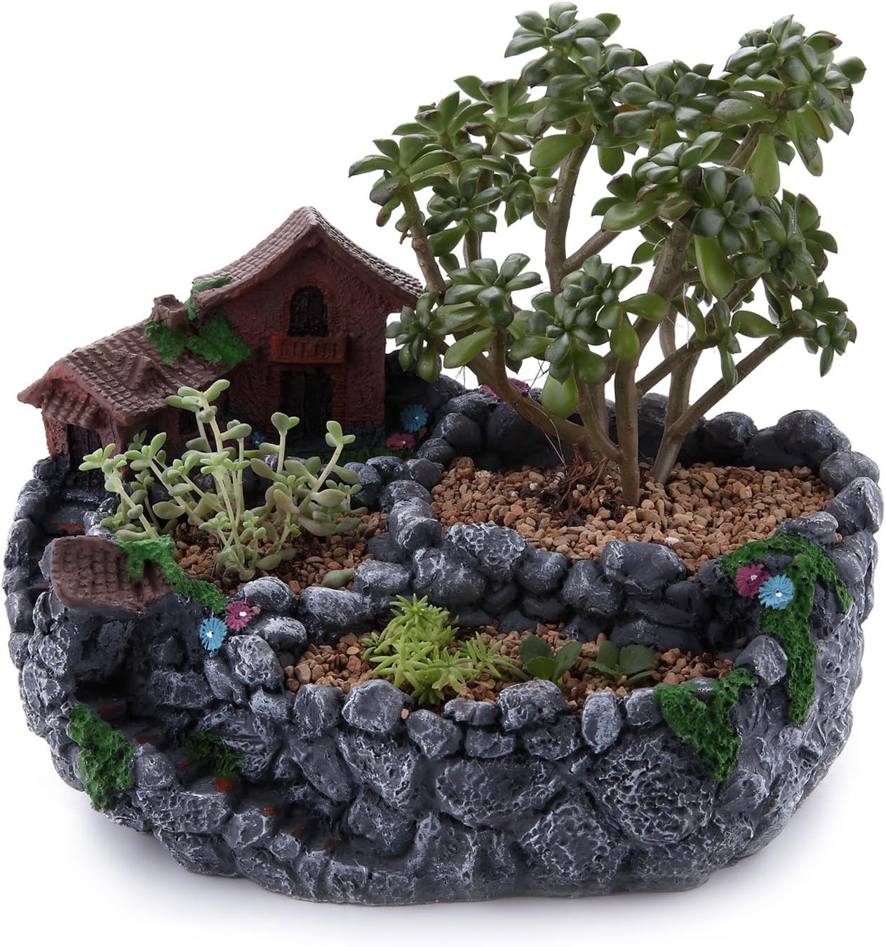 Best Fairy Garden Planter Containers
