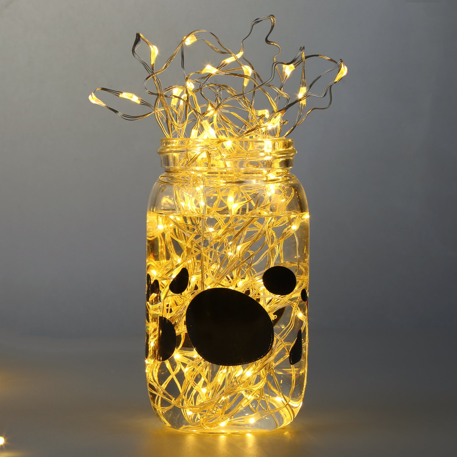 Fivanus 33Foot 100 LEDs Copper Strings Lights (Silver)