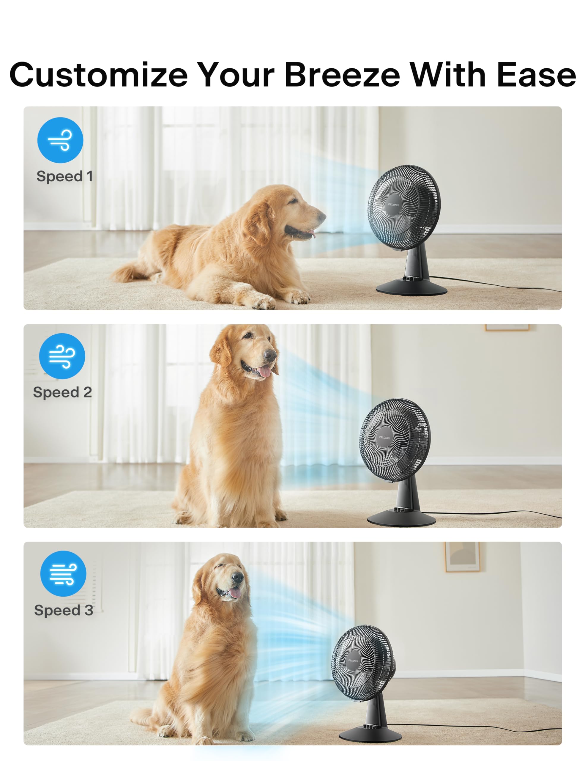 PELONIS Table Fan 12-Inch, 120° Oscillating Table Fan Small Portable Electric Plug-In Desk Fan with 3-Speeds, 126° Adjustable Tilt Head for Bedroom and Office Black