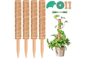 YMHB Moss Pole for Plants, 4 Pack Moss Poles for Climbing Plants, Monstera Coir Totem Pole, 15.8 Inch Moss Sticks for Plant Support, Indoor Potted Plants Train Creeper Plants Grow Upwards