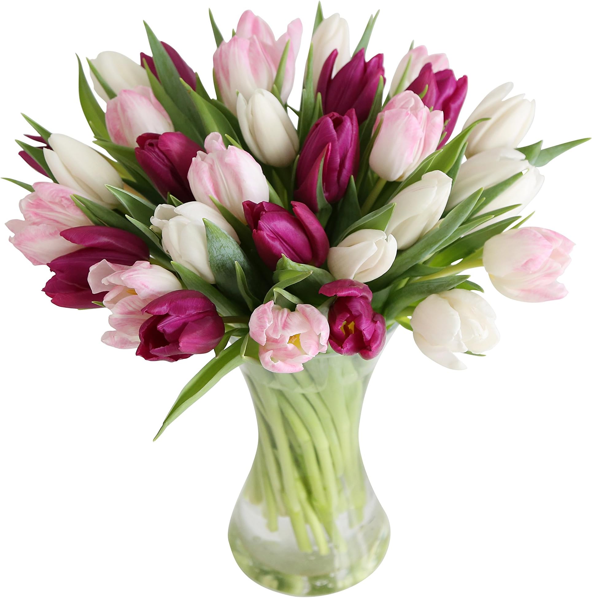 ArenaFlowers Mixed Tulips (30-Piece)