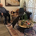 Review Image by Amazon Customer Amazon Customer