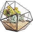 NCYP Glass Geometric Terrarium Planter for Succulent, Small Plant, Cacti - Indoor Balcony Tabletop Decoration Pot, Handmade, 