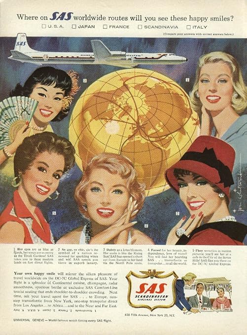 Sas airlines essay 07 image