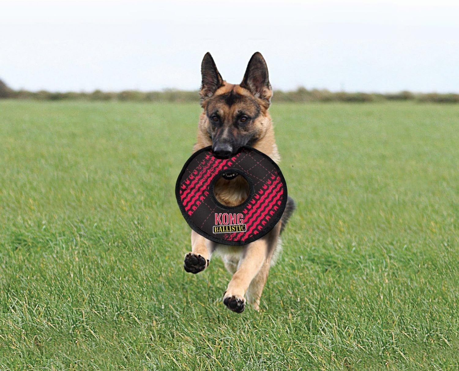 kong ballistic football